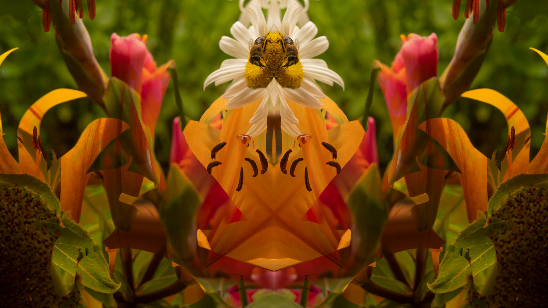 Illustration aus der Bilderwelt von Tarek Moussalli